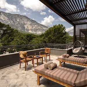 Junior Suite Terrace